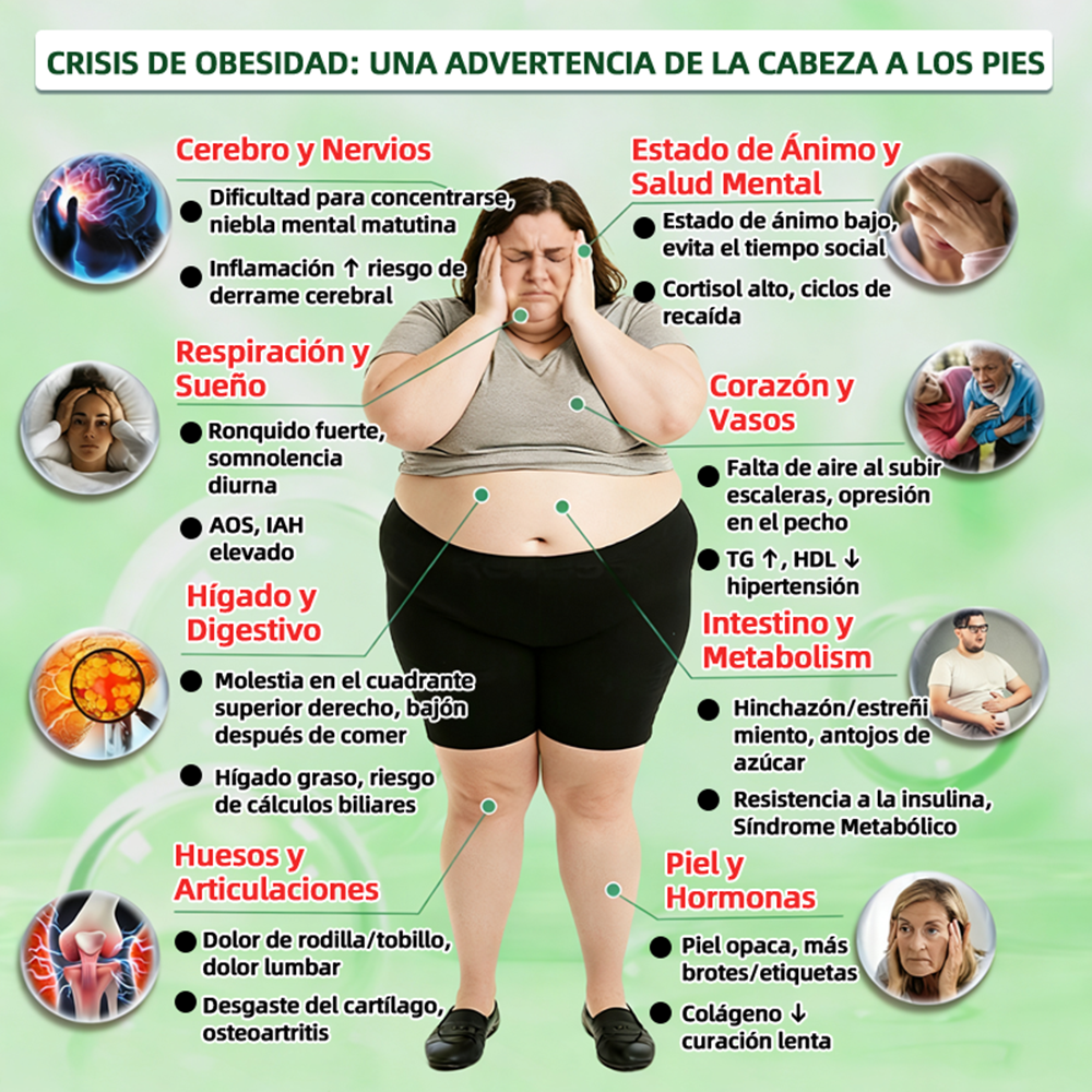🔥 Nuevo lanzamiento | Parche de microagujas de triple acción Curalona® — Berberina y NAD+: favorecen la salud metabólica y promueven la renovación cutánea — Un parche transdérmico de microagujas para uso diurno y nocturno (apto para hombres y mujeres)
