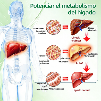 🔥 Nuevo lanzamiento | Parche de microagujas de triple acción Curalona® — Berberina y NAD+: favorecen la salud metabólica y promueven la renovación cutánea — Un parche transdérmico de microagujas para uso diurno y nocturno (apto para hombres y mujeres)