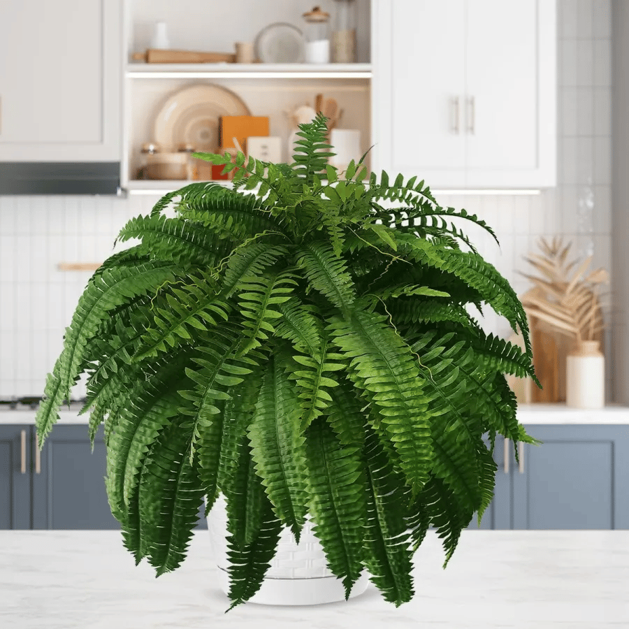 🔥Last Day 75% OFF🔥--🪴UV Resistant Lifelike Artificial Boston Fern