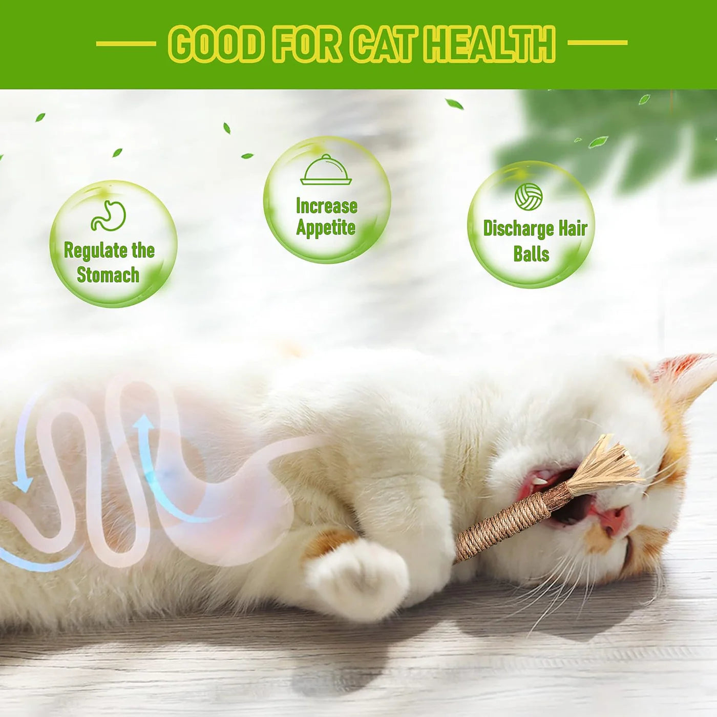 🔥😻Natural Silvervine Chew Sticks – Organic Dental Treats for Cats