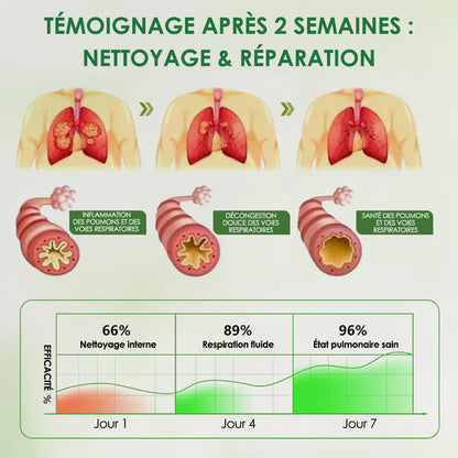 Respirez plus librement avec le diffuseur de bouillon-blanc Curalona® Botanical LungCare — Économisez 80 % pour une durée limitée.