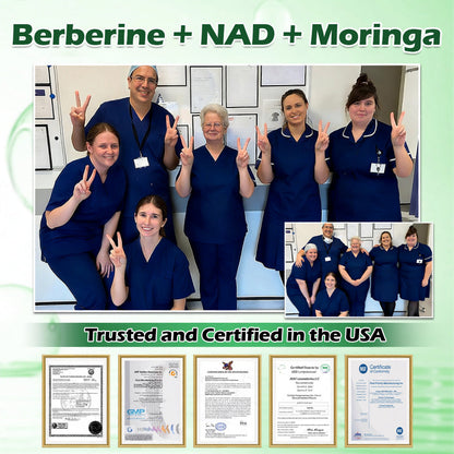 🔥 Online Pharmacy  | Purelora® Moringa Berberine × NAD⁺ 10-in-1 Nano Microneedle Patch (Just once daily, visible changes in 7 days) ✅ Supports weight management, loose skin, diabetes care, sleep apnea, joint comfort, and more