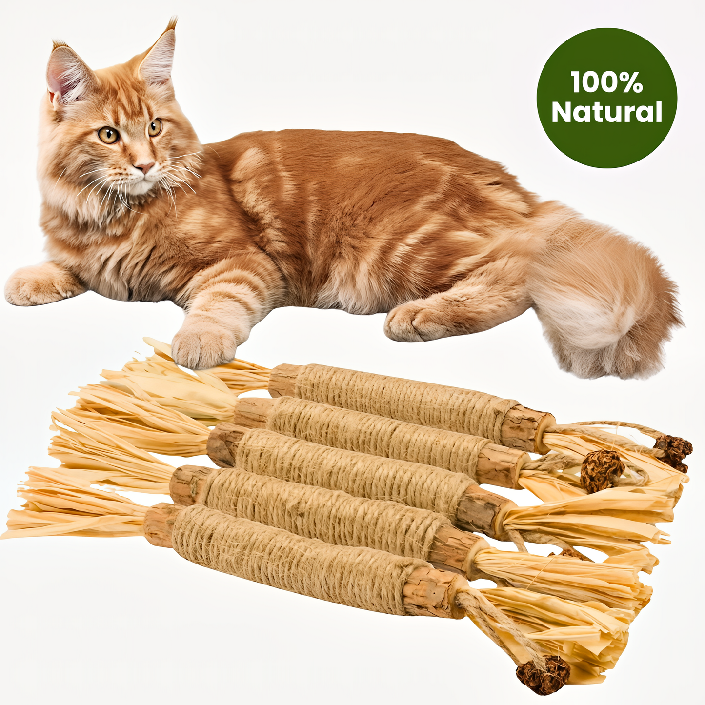 Natural Silvervine Dental Sticks