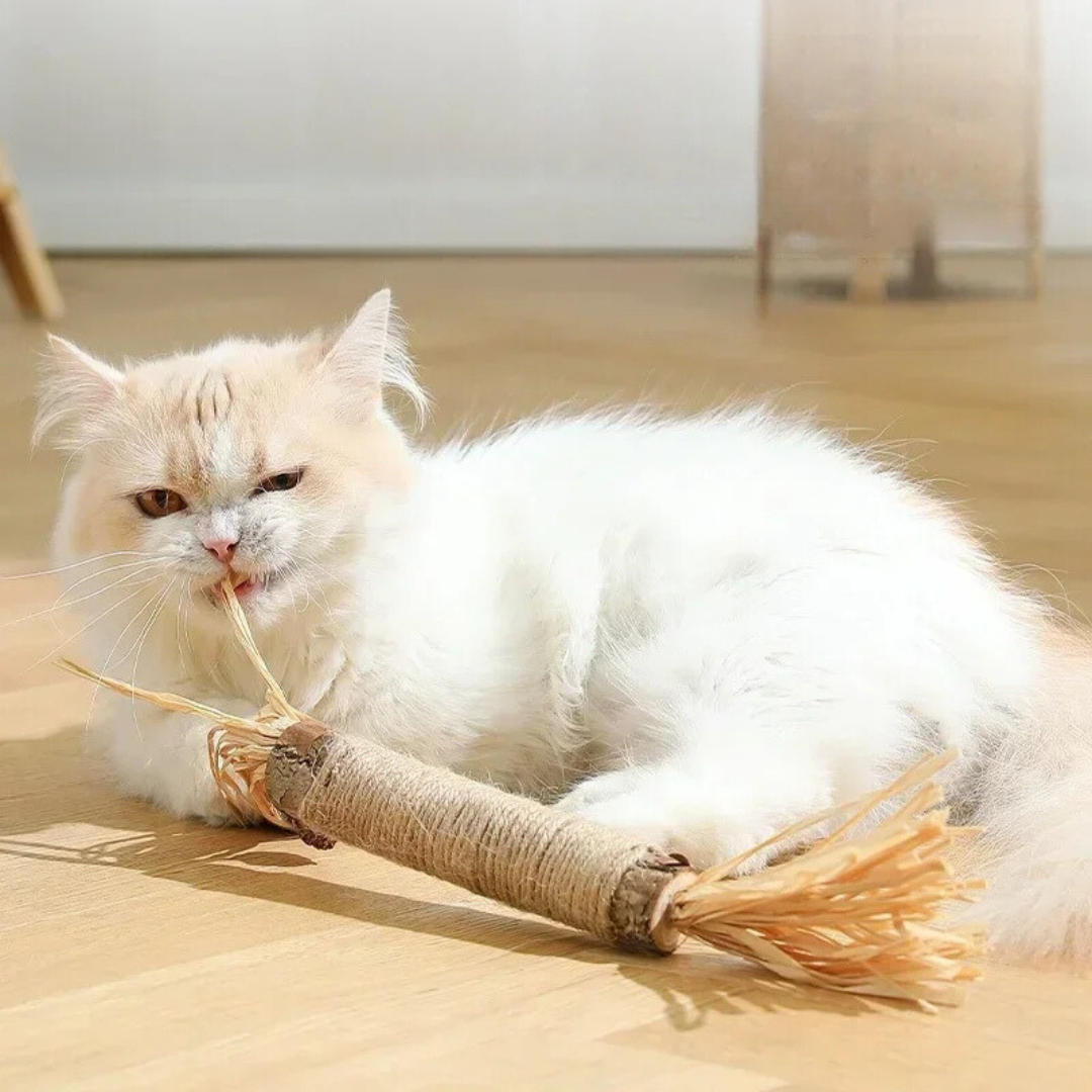 🔥😻Natural Silvervine Chew Sticks – Organic Dental Treats for Cats